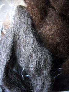 Churro roving-detail