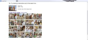 Google Images-people are monkeys again