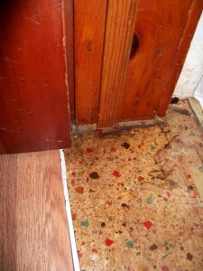 house-linoleum