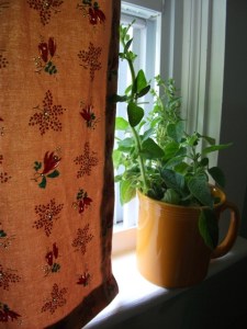 kitchen curtain