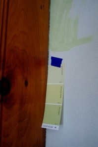 knotty pine paneling & paint