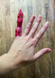 borlotti finger