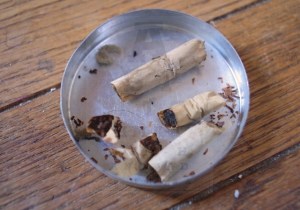 radiator-butt things