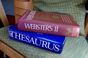 dictionary-thesaurus