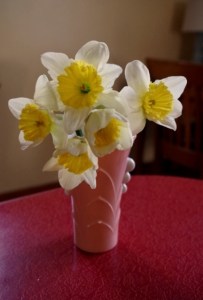 daffydills