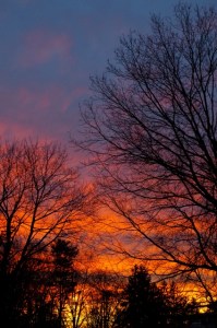 finished-early dusks