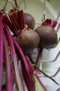 july-beets